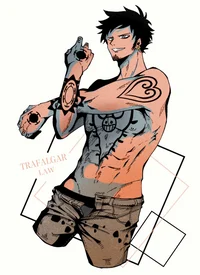 Trafalgar Law 
