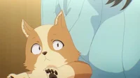Isekai Dog Anime