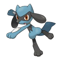 Riolu