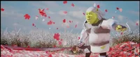 Shrek miyamoto