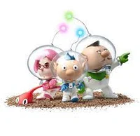 Pikmin Crew
