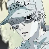 White blood Cell
