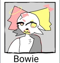 Bowie KP - OC