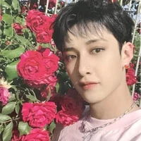 Case 143 - Bang Chan