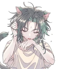 Xiao cat boy 