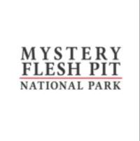 Mystery Flesh Pit