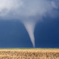 Tornado survival RPG