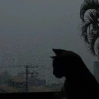Shaza