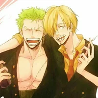 Sanji y zoro