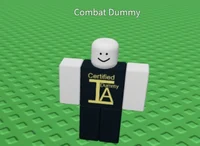 Combat Dummy