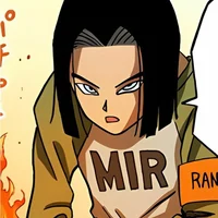 Android 17