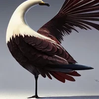 someon who understan