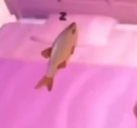 Sleeping Fish