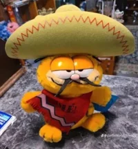 Mexican Garfield