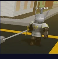 Sir Combat