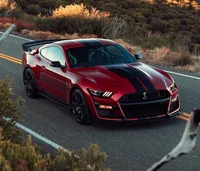 Mustang shelby gt500