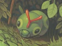 Caterpie M