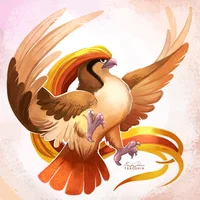 Pidgeot M