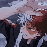 shoto todoroki