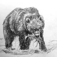 Kodiak bear