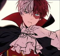 MHA - Shoto Todoroki