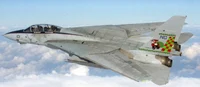 F-14 with co pilot