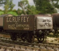 Scruffey