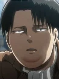 Fat Levi