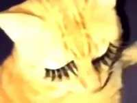 Princess Skinny-kins