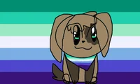 gay dog