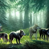 Wolf Pack Sim
