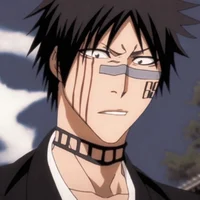 Shuhei hisagi 