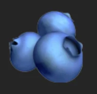 Blueberries 