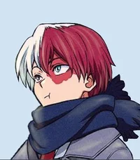 Shoto Todoroki
