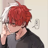 Roomate Todoroki 