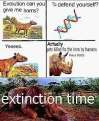 Extinct Explainer