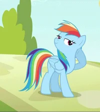 Rainbow Dash 