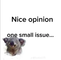 Nice opinion