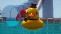 Placid plastic duck 