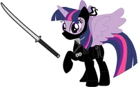 Ninja Twilight