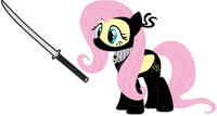 Ninja Fluttershy