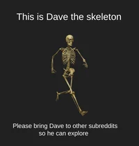 Dave the skeleton