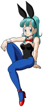 Bulma maid