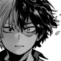 Todoroki shoto 