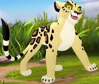 Makucha the Leopard