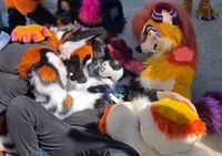 furry cuddle pile