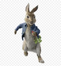 peter rabbit