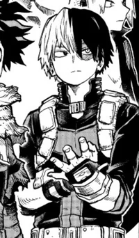 MHA Shoto Todoroki
