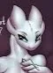 Mommy Light Fury