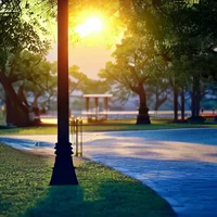 Comfort SimulationAI